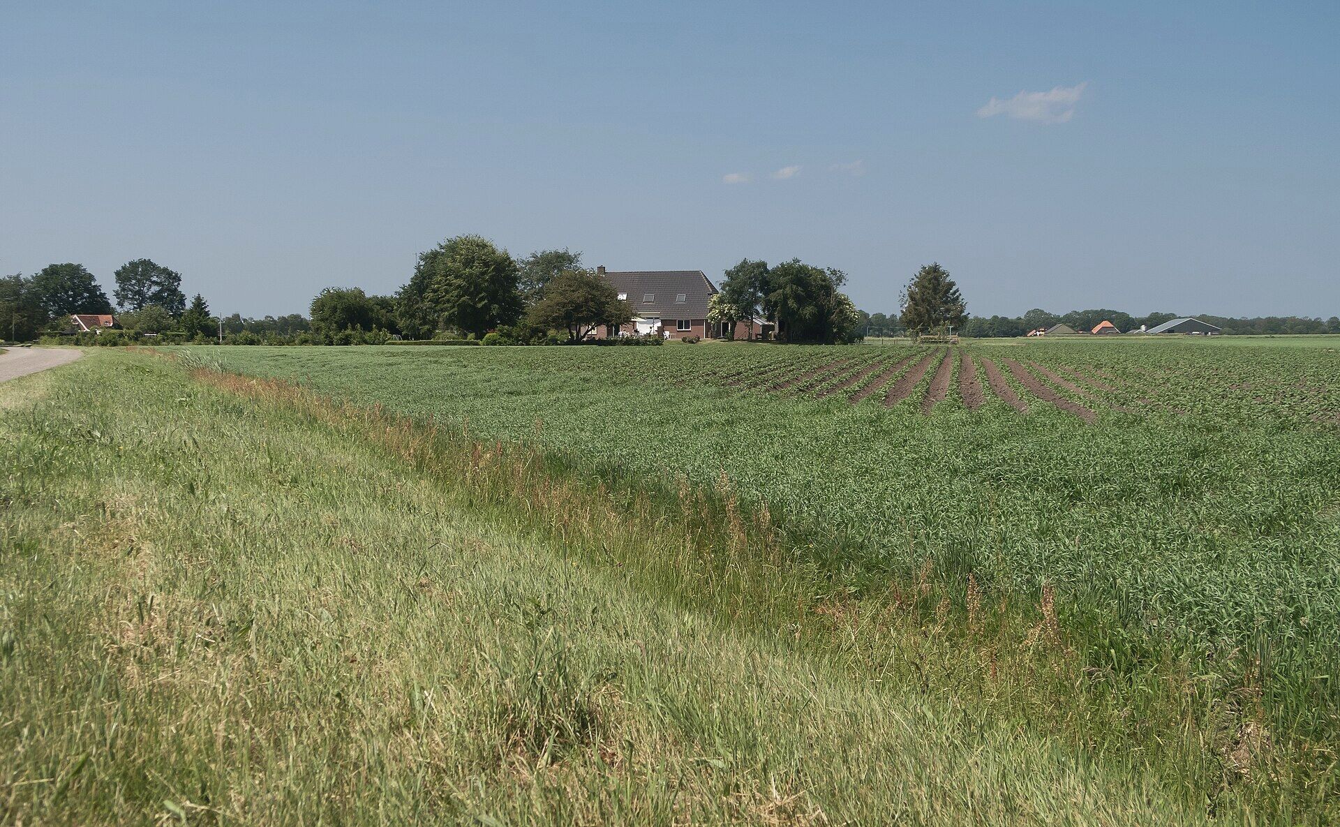 Boerderij achter een akker in Drenthe